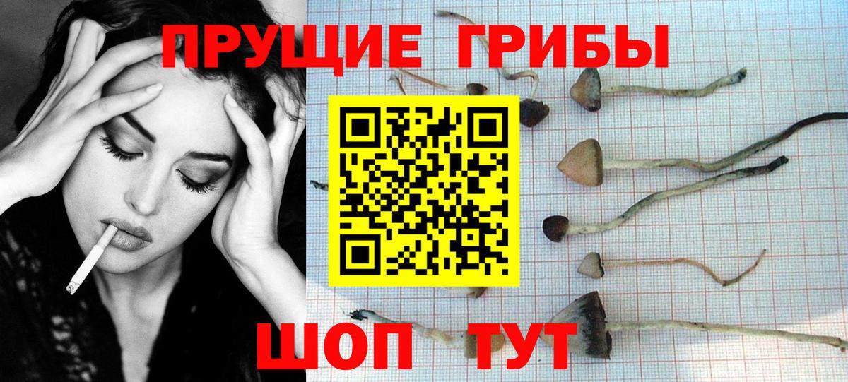 где найти   Вход с VPN  Алапаевск  Галлюциногенные грибы мухоморы 